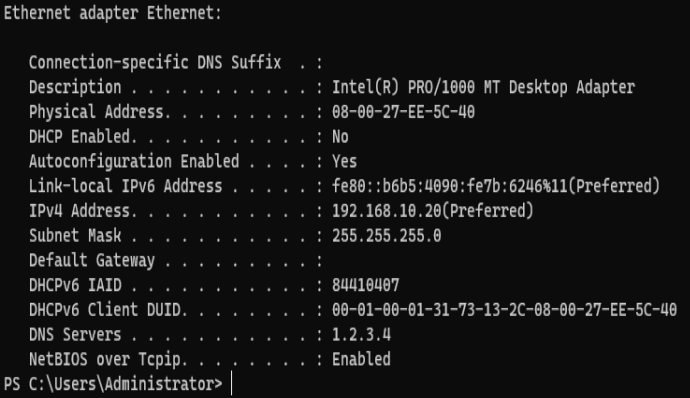 ipconfig /all showing wrong DNS server 1.2.3.4